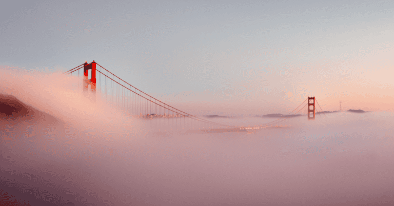 PTS Photo 1 1 768x402